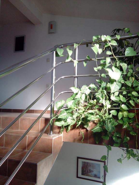 بيوغْغاد نا موغو Apartmani Kapitanovic المظهر الخارجي الصورة